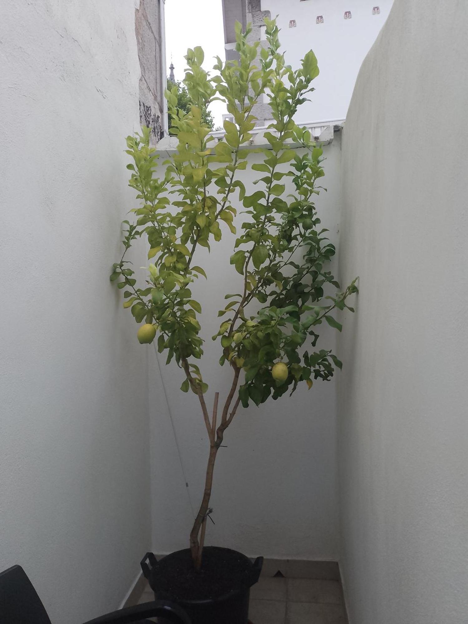 문다카 Atalaya 아파트 외부 사진